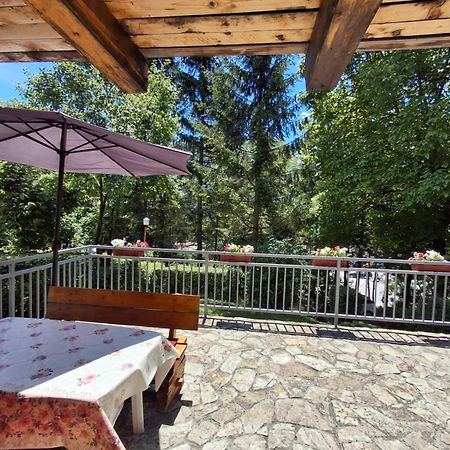 Apartman Relax In Nature ヤイツェ エクステリア 写真