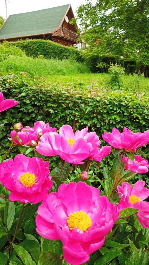 Apartman Relax In Nature ヤイツェ エクステリア 写真